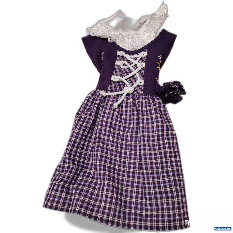 Artikel Nr. 675060: Dirndl verschmutzt 