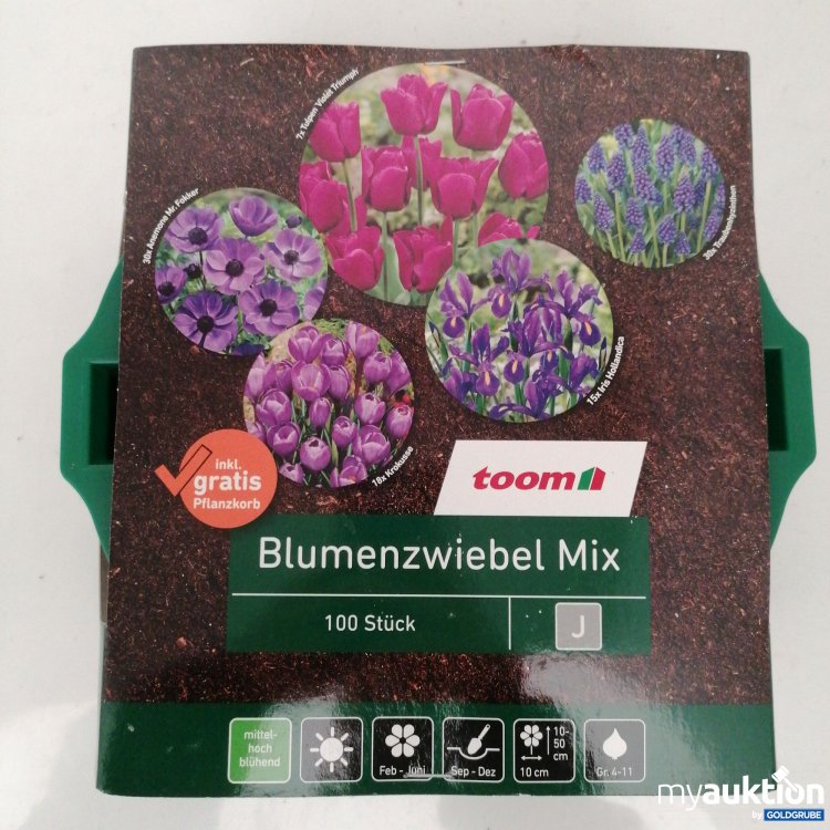 Artikel Nr. 341068 Artikel Nr. 341068: Toom Blumenzwiebel Mix 100stk