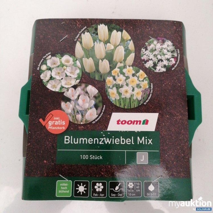 Artikel Nr. 341069 Artikel Nr. 341069: Blumenzwiebel Mix 100stk