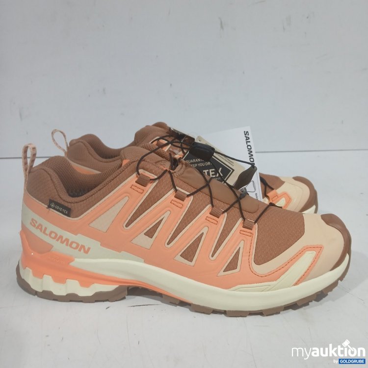 Artikel Nr. 448069: Salomon XA PRO 3D V9 GTX W Damen Wanderschuhe