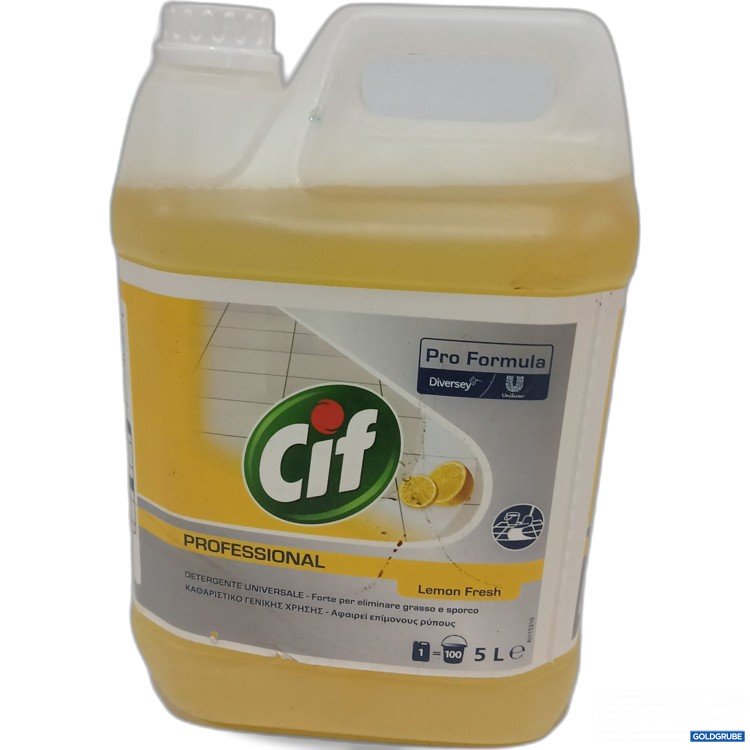 Artikel Nr. 892069: Cif Professional 5l