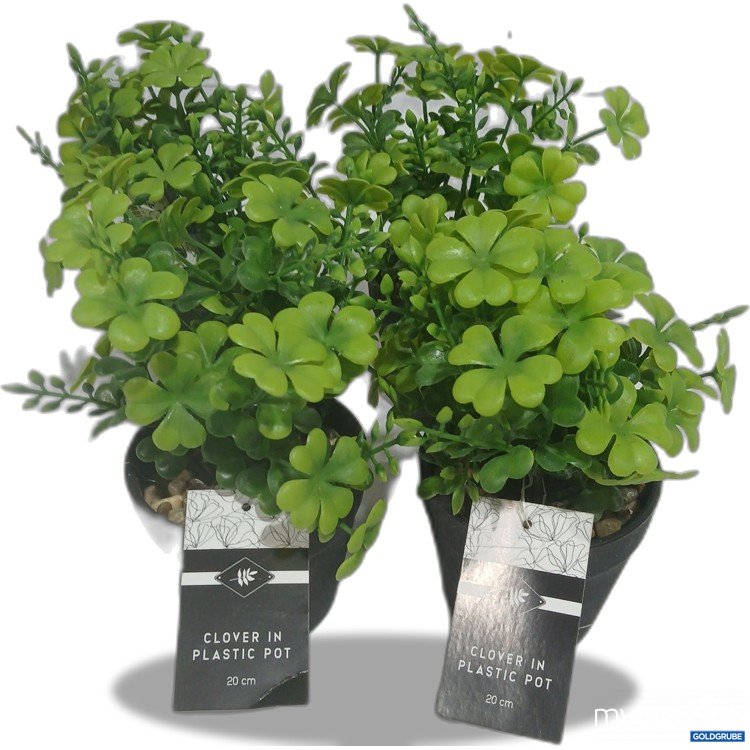 Artikel Nr. 929069: Clover in Platic Pot grün 20cm 