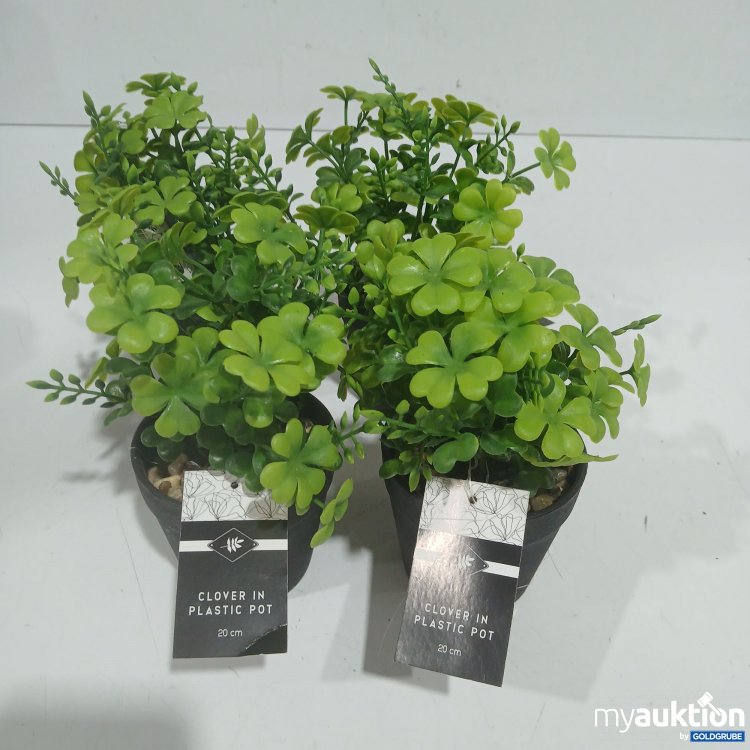 Artikel Nr. 929069: Clover in Platic Pot grün 20cm 