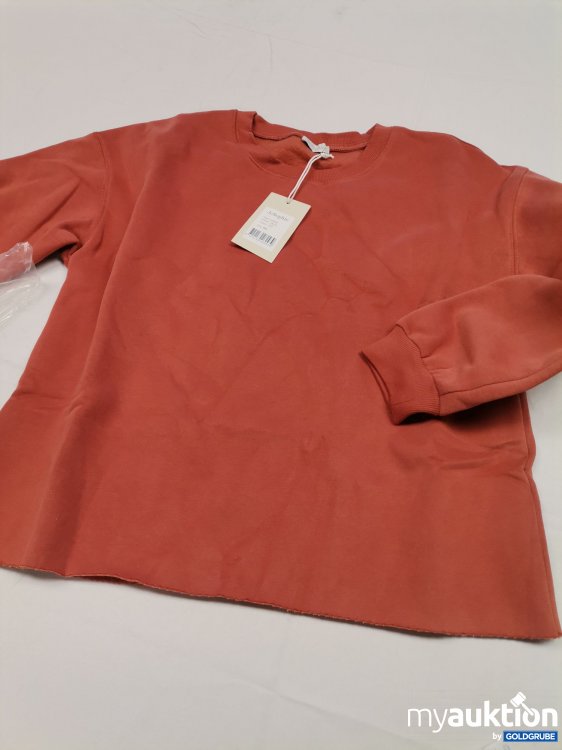 Artikel Nr. 810071 Artikel Nr. 810071: Jc Sophie Sweater