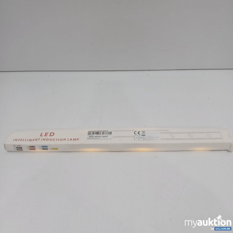 Artikel Nr. 911072 Artikel Nr. 911072: LED Intelligent Induction Lamp 50cm