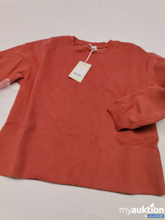 Artikel Nr. 810073 Artikel Nr. 810073: Jc Sophie Sweater