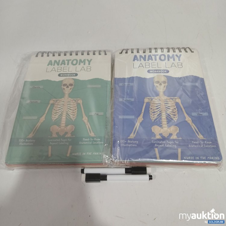 Artikel Nr. 524076: Anatomy Label Lab 
