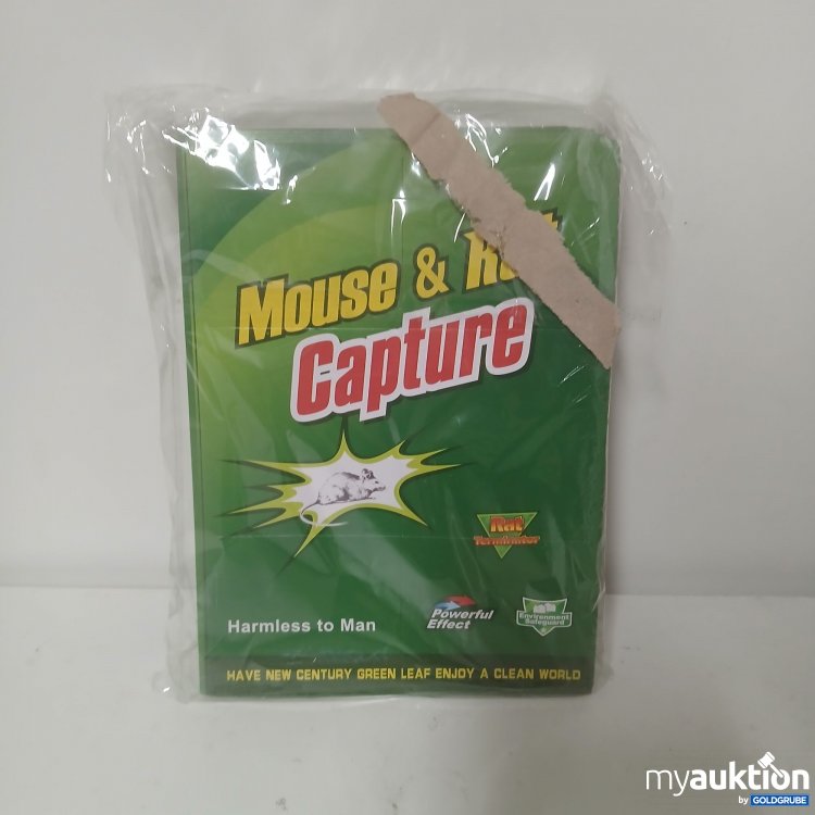 Artikel Nr. 913079: Mouse & Rat Capture 6x