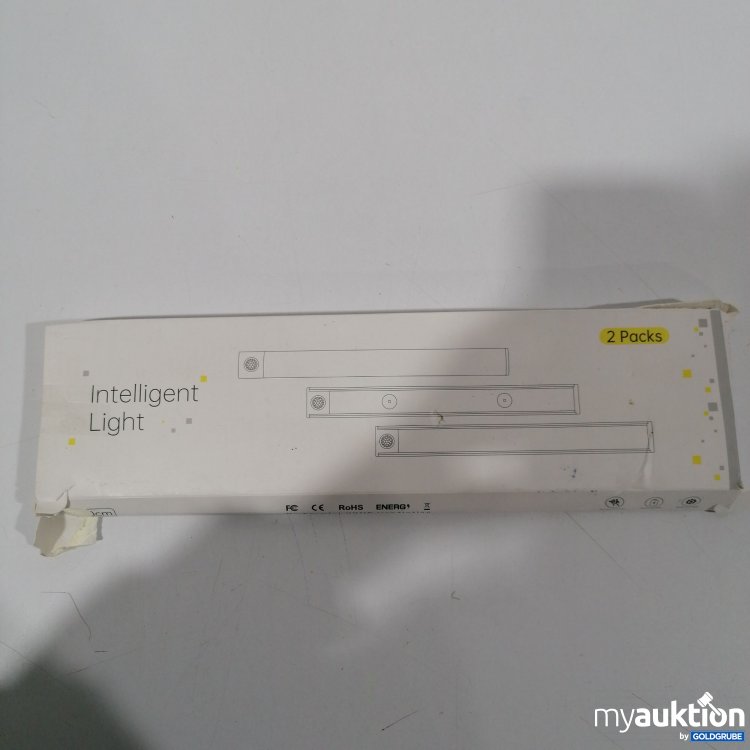 Artikel Nr. 896088: Intelligent Light Silver L1005