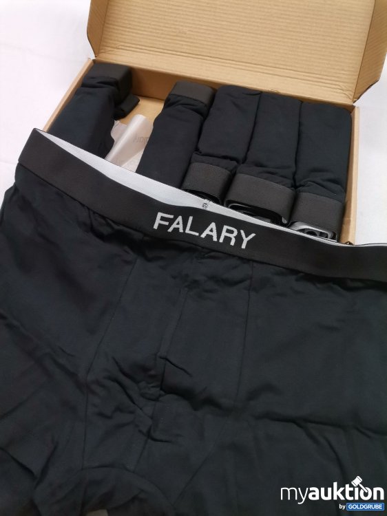 Artikel Nr. 842089 Artikel Nr. 842089: Falary Trunks