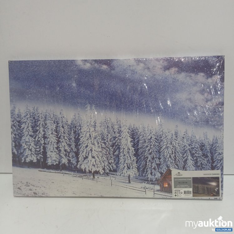 Artikel Nr. 940091 Artikel Nr. 940091: Anna's Collection Indoor Canvas LED Shooting Star Bild