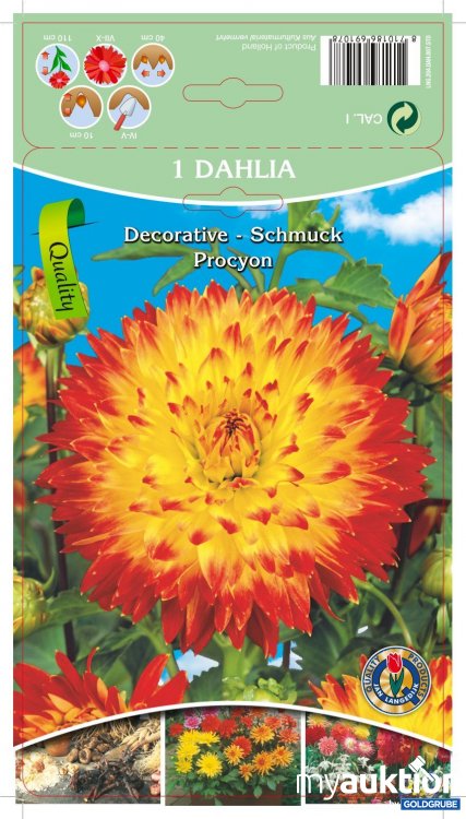Artikel Nr. 319092 Artikel Nr. 319092: Dahlia Decorative Schmuck Procyon Orange/Gelb - 3 Packungen zu je 1 Stück