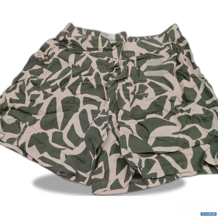 Artikel Nr. 880093: Sublevel Shorts 