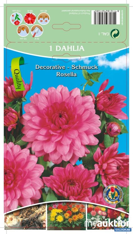 Artikel Nr. 319095: Dahlia Decorative Schmuck Rosella Rosa - 3 Packungen zu je 1 Stück