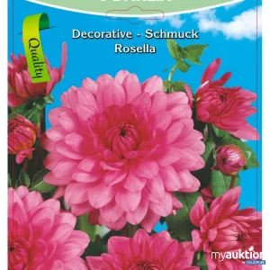 Auktion Dahlia Decorative Schmuck Rosella Rosa - 3 Packungen zu je 1 Stück