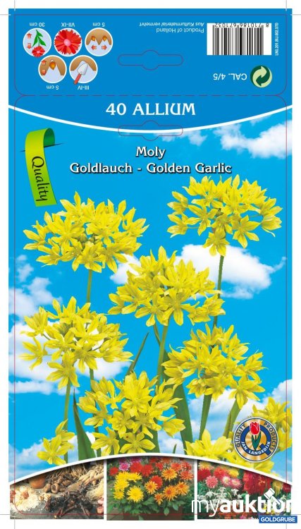 Artikel Nr. 319097: Allium Moly Goldlauch Golden Garlic - 3 Packungen zu je 15 Stück