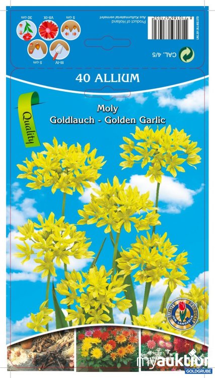 Artikel Nr. 319097 Artikel Nr. 319097: Allium Moly Goldlauch Golden Garlic - 3 Packungen zu je 15 Stück