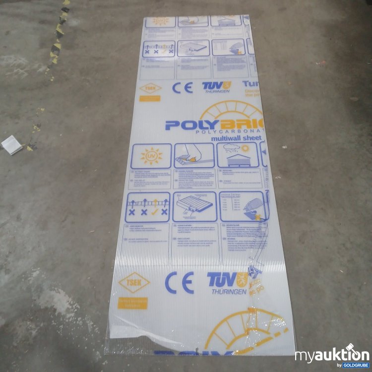 Artikel Nr. 448097 Artikel Nr. 448097: POLYBRIC Polycarbonat Mehrwandplatte ca. 60x180cm