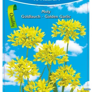 Auktion Allium Moly Goldlauch Golden Garlic - 3 Packungen zu je 15 Stück