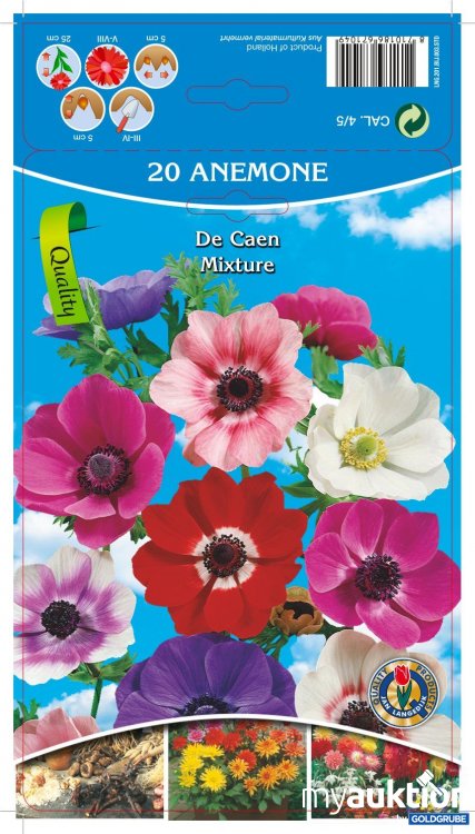 Artikel Nr. 319098 Artikel Nr. 319098: Anemone De Caen Mixture - 3 Packungen zu je 8 Stück
