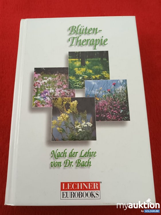 Artikel Nr. 923099: Blüten Therapie 
