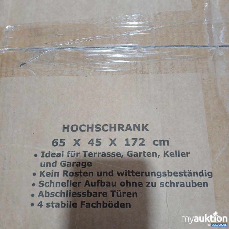 Artikel Nr. 479100: Armadio Portascope Hochschrank 65x45x172cm 