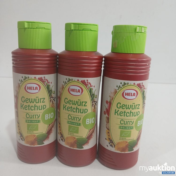 Artikel Nr. 873100: Hela Gewürz Ketchup Curry Delikat Bio je 300ml 