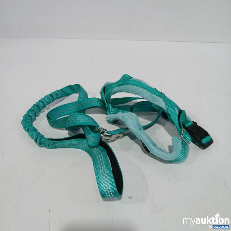 Artikel Nr. 904100: Hundegeschirr mit Leine