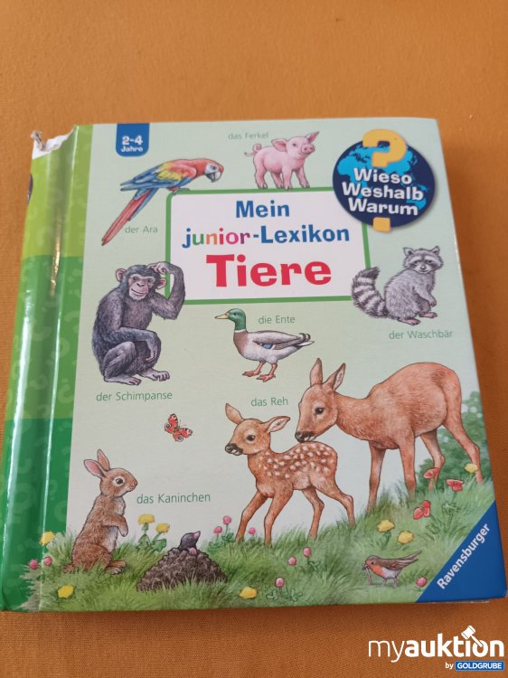 Artikel Nr. 901103 Artikel Nr. 901103: Kleines Wieso, Weshalb, Warum Buch
