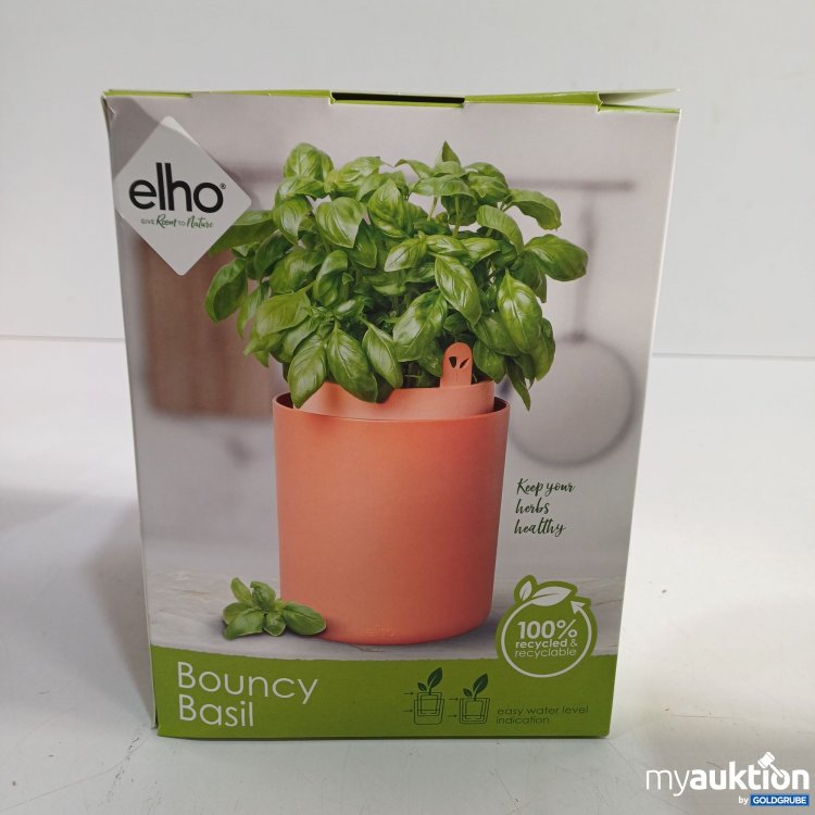 Artikel Nr. 962104: Elho Bouncy Basil Topf 
