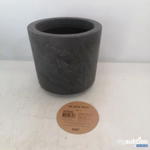 Auktion Plant Pot M 