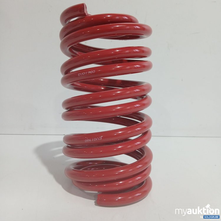 Artikel Nr. 876106 Artikel Nr. 876106: Federn EVO1980