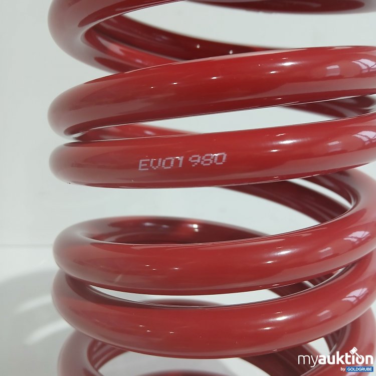 Artikel Nr. 876106 Artikel Nr. 876106: Federn EVO1980