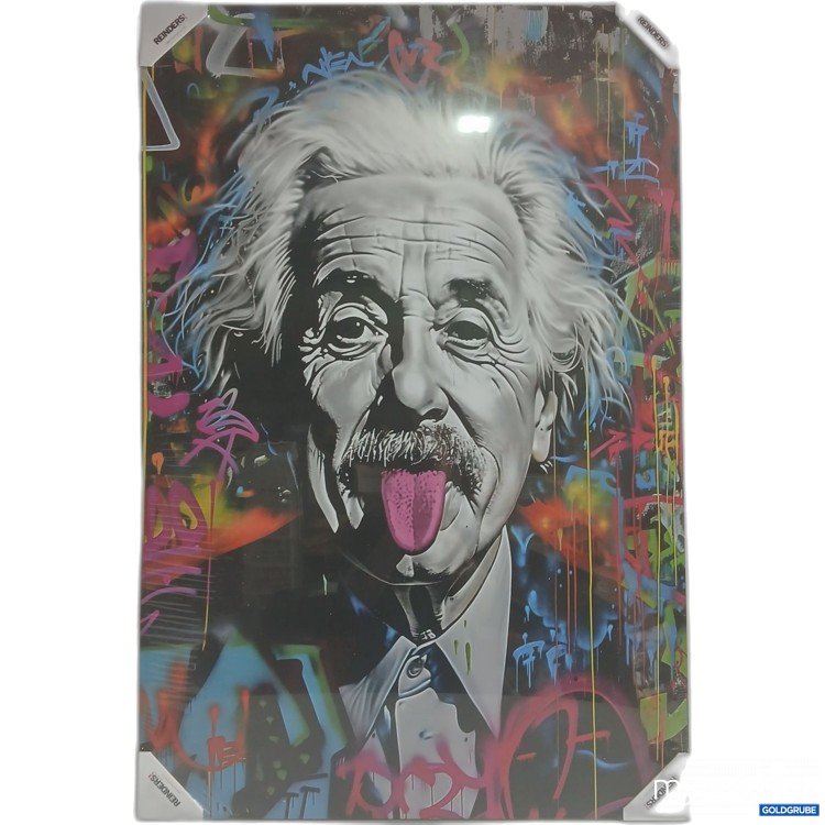 Artikel Nr. 981108 Artikel Nr. 981108: Reinders Bild Einstein Tongue