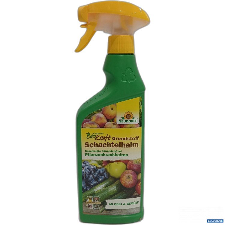 Artikel Nr. 963109: Bio Kraft Grundstoff Schachtelhalm 500ml 