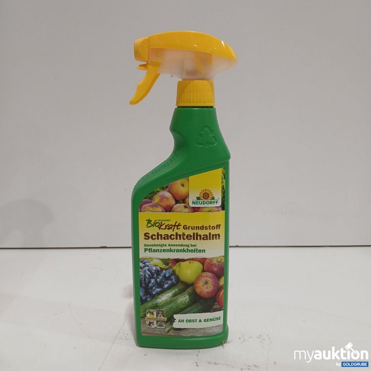 Artikel Nr. 963109: Bio Kraft Grundstoff Schachtelhalm 500ml 