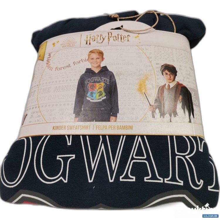 Artikel Nr. 838110: Harry Potter Hoodie 