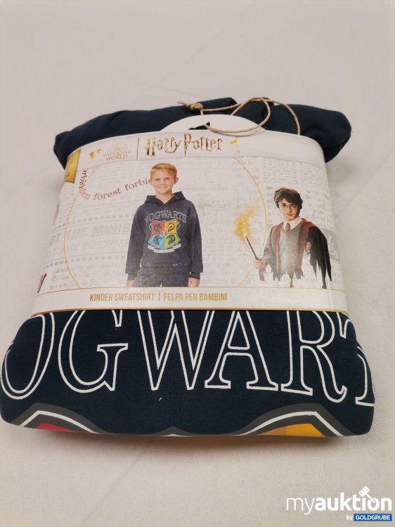 Artikel Nr. 838110: Harry Potter Hoodie 