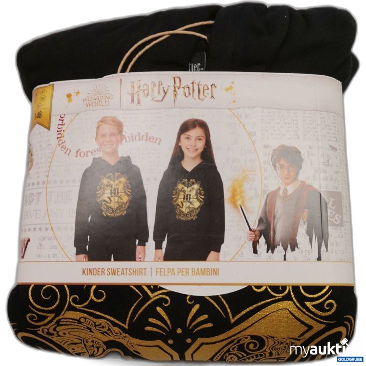 Artikel Nr. 838111: Harry Potter Hoodie 