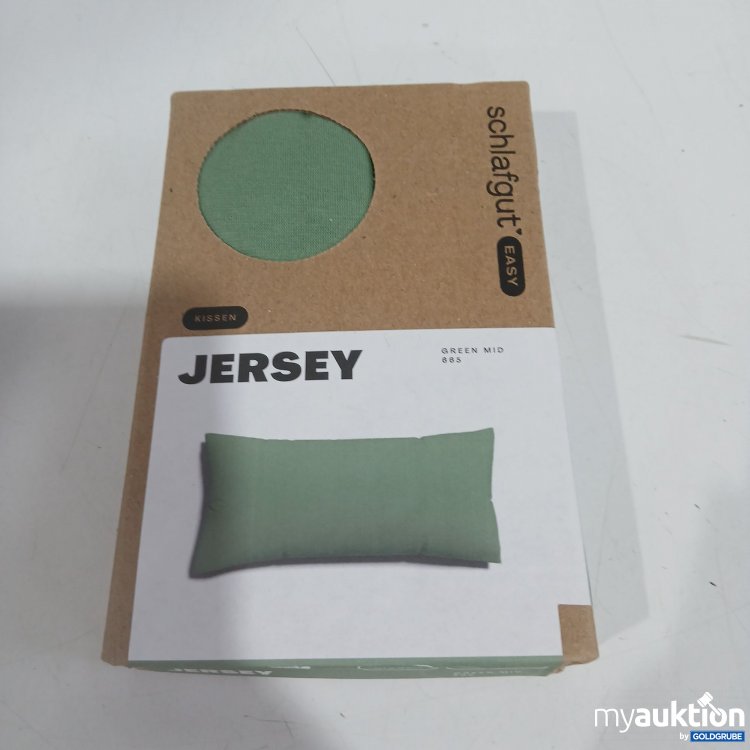 Artikel Nr. 906114 Artikel Nr. 906114: Schlafgut easy Jersey Kissenbezug Green mid 40x80cm