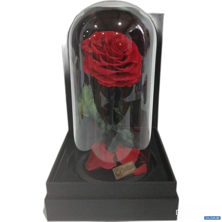 Artikel Nr. 888116: Your Roses Geschenk Rose 