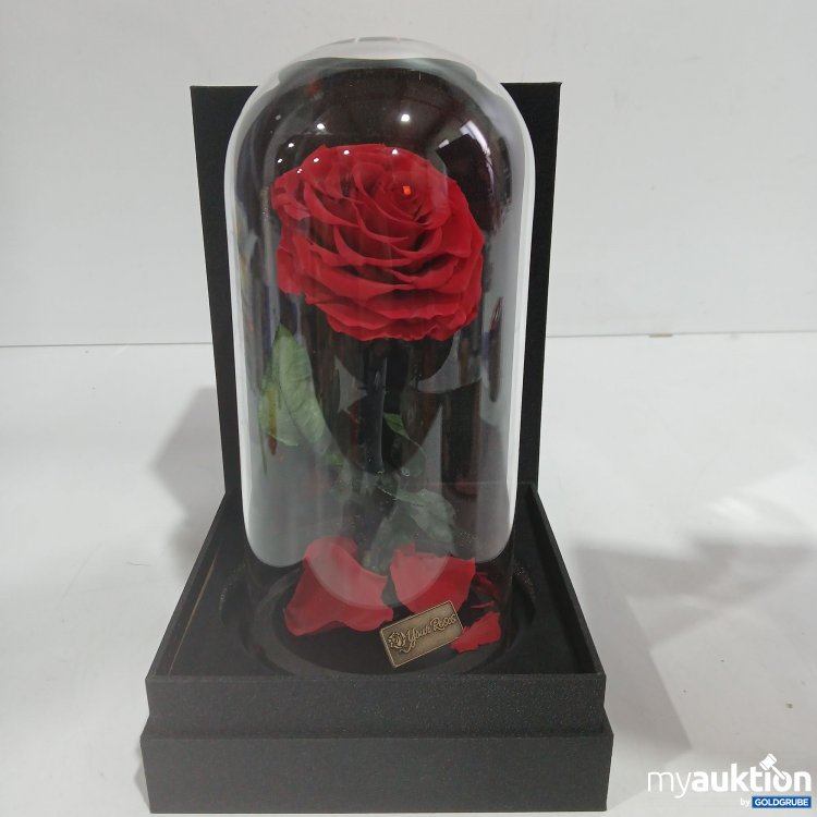 Artikel Nr. 888116: Your Roses Geschenk Rose 