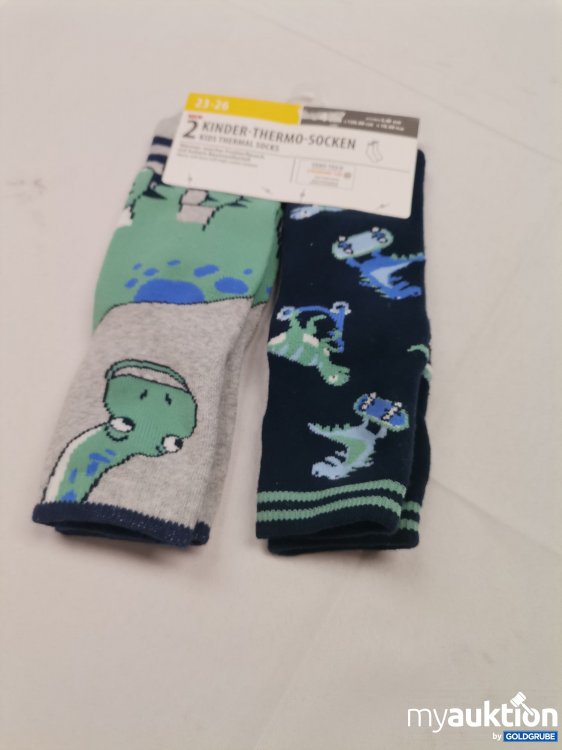 Artikel Nr. 824117 Artikel Nr. 824117: Thermo Socken