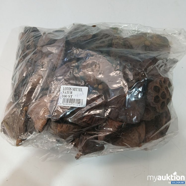 Artikel Nr. 952117: Lotus Mittel Natur 100Stk