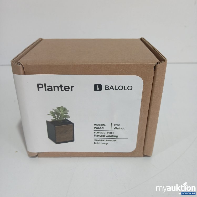 Artikel Nr. 832119 Artikel Nr. 832119: Balolo Planter Wood Walnut BA-PLS-NUS