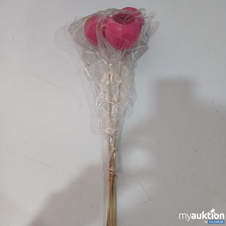 Artikel Nr. 952120: Dijk Bell Cup Natur 50x14x10cm 3Stk