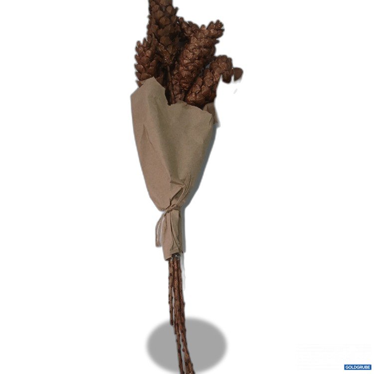 Artikel Nr. 952123 Artikel Nr. 952123: Tannenzapfen mit Stiel ca 7Stk