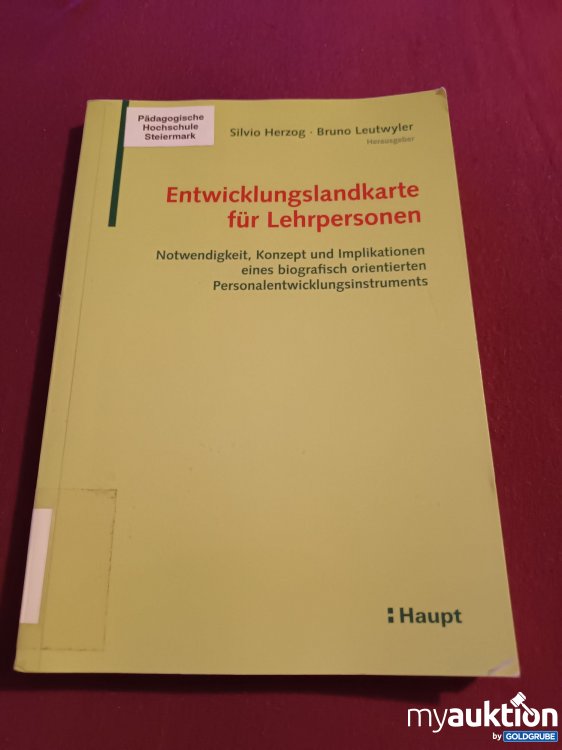 Artikel Nr. 999124 Artikel Nr. 999124: Entwicklungslandkarte für Lehrpersonen