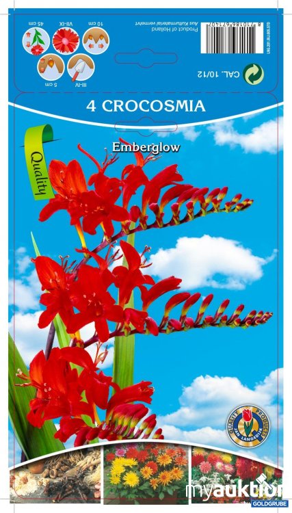 Artikel Nr. 319126 Artikel Nr. 319126: Crocosmia Emberglow - 3 Packungen zu je 2 Stück