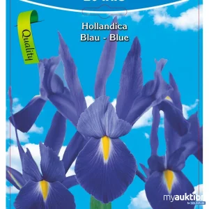 Auktion Iris Hollandica blau (20Stk./Netz)
